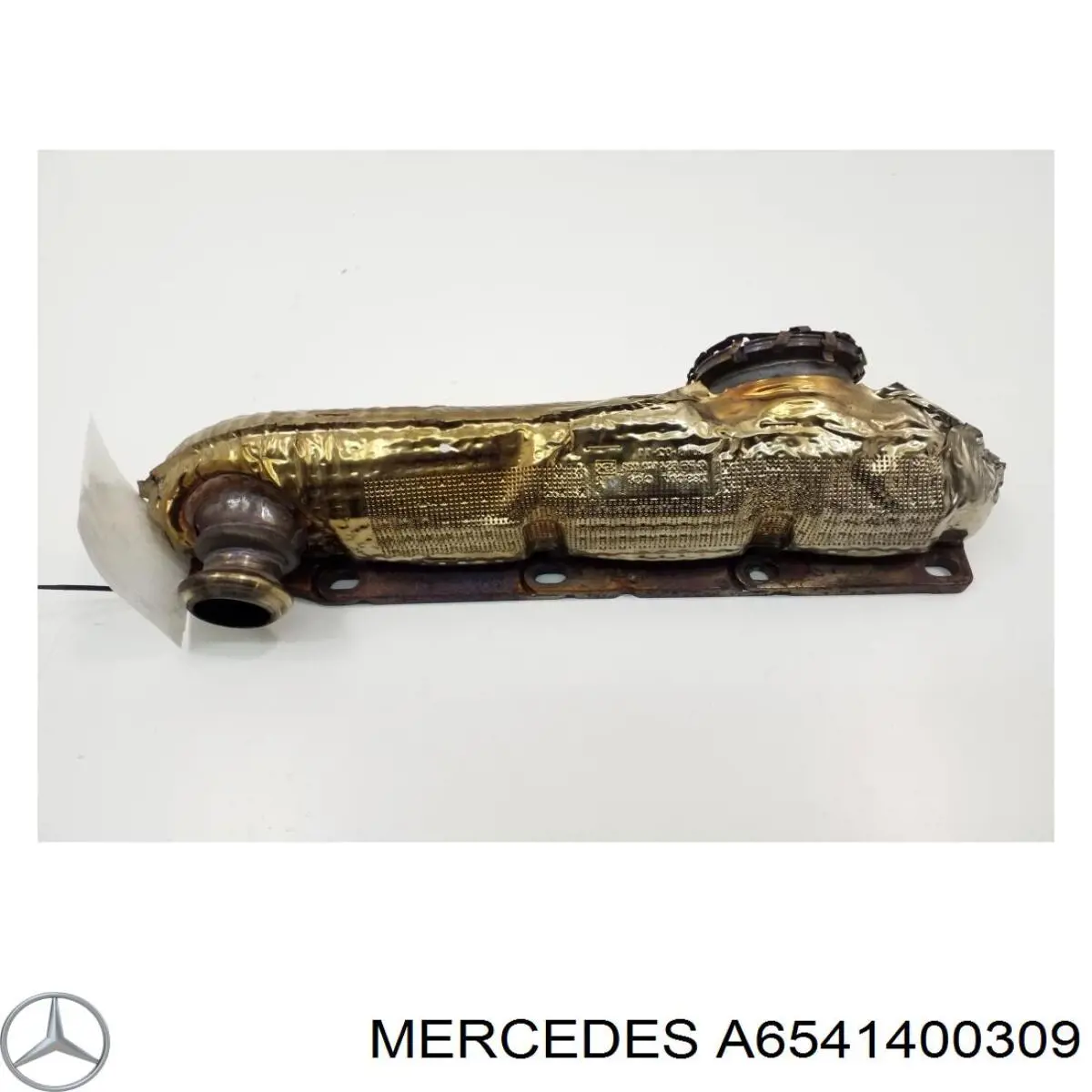 A6541400309 Mercedes 