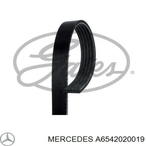 A6542020019 Mercedes rolo parasita da correia de transmissão