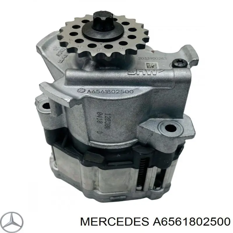 Bomba de óleo para Mercedes G (W463)