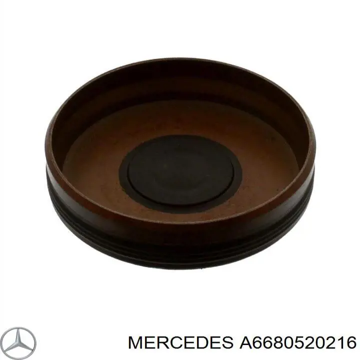  6680520216 Mercedes