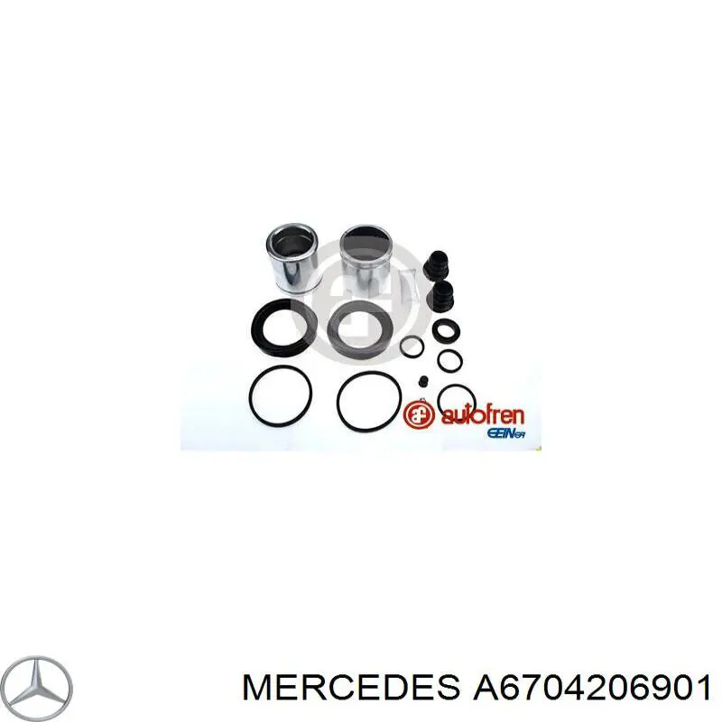 A6704206901 Mercedes 