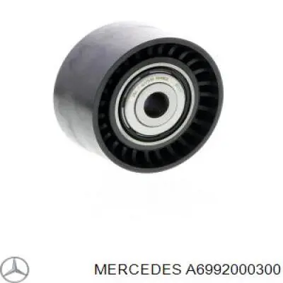 Купить A6992000300 Mercedes Паразитный ролик
