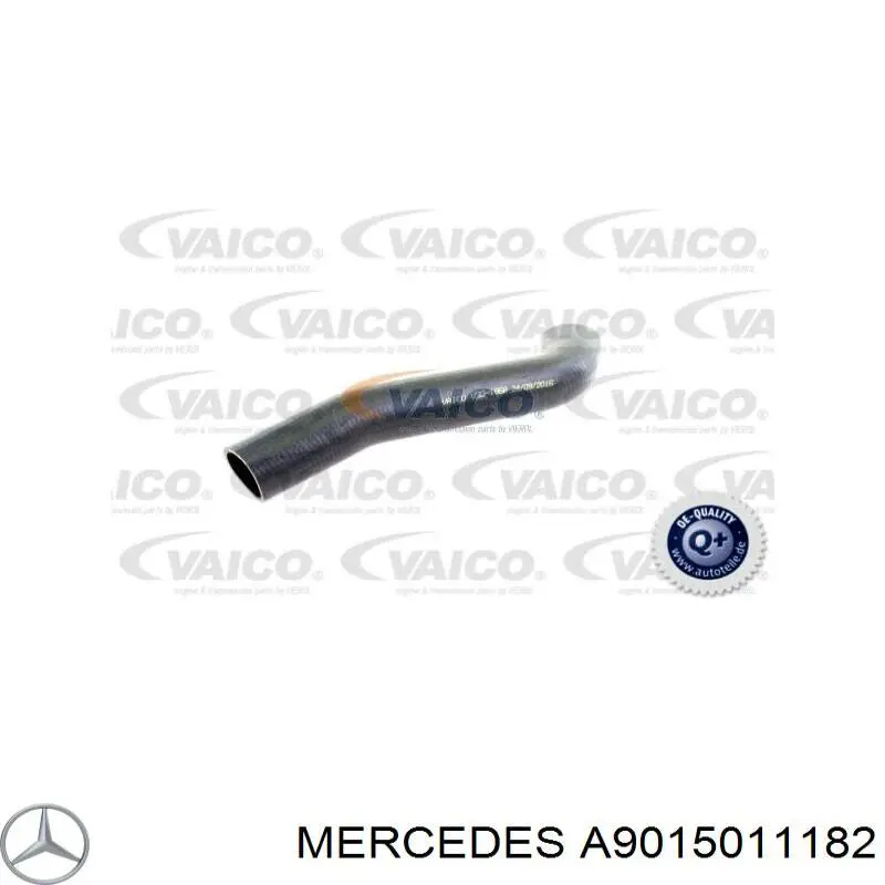 A9015011182 Mercedes шланг (патрубок радиатора охлаждения нижний)