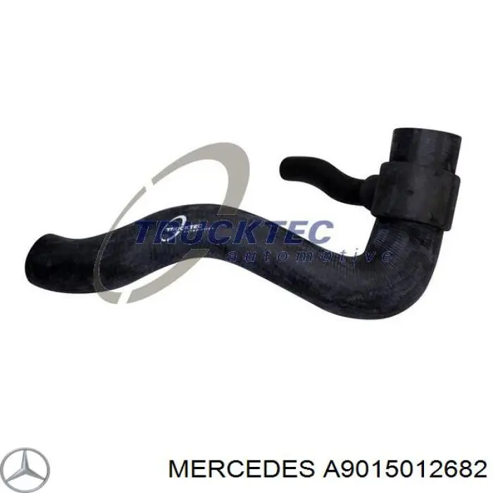 A9015012682 Mercedes mangueira (cano derivado inferior do radiador de esfriamento)