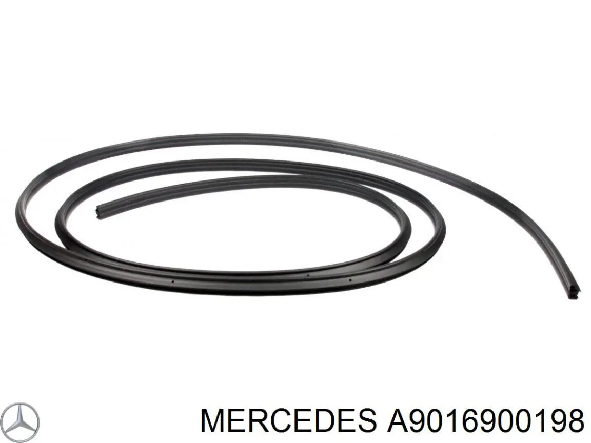Уплотнитель двери задней (на кузове) Mercedes A9016900198