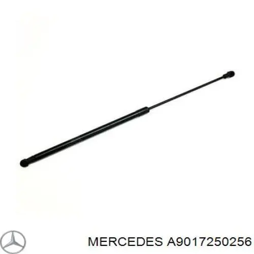 9017250256 Mercedes