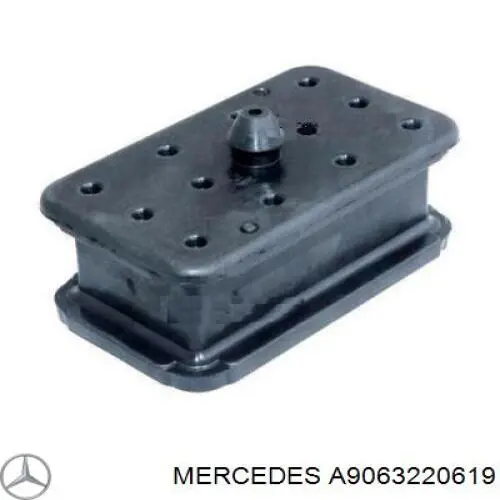 A9063220619 Mercedes grade de proteção da suspensão de lâminas dianteira