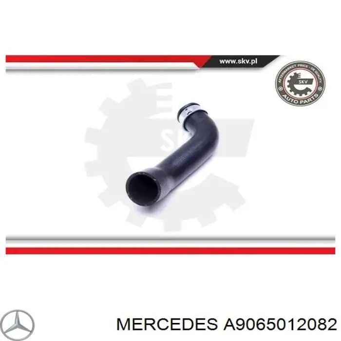9065012082 Mercedes mangueira (cano derivado inferior do radiador de esfriamento)