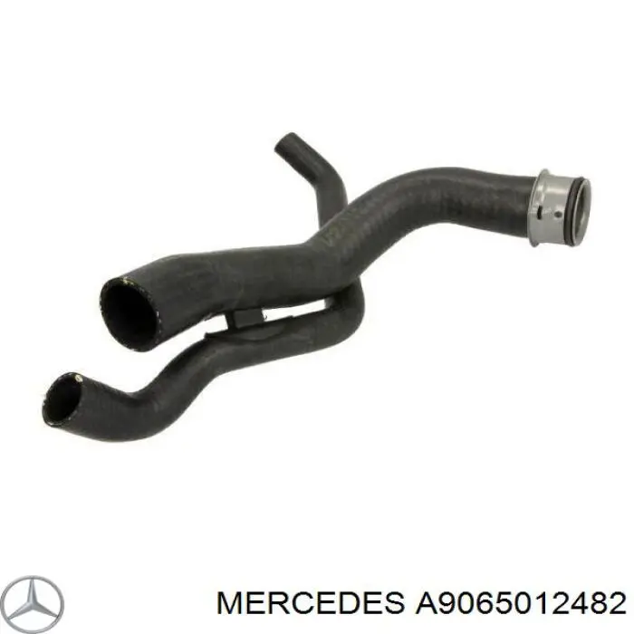 A9065012482 Mercedes mangueira (cano derivado inferior do radiador de esfriamento)