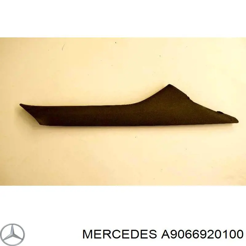  A9066920100 Mercedes