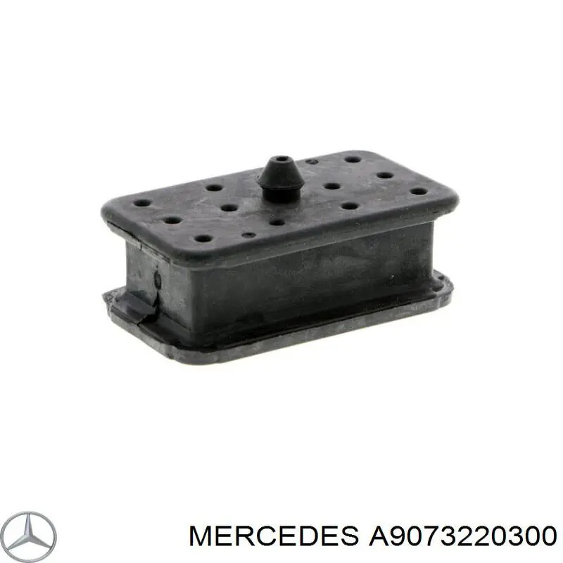 A9073220300 Mercedes