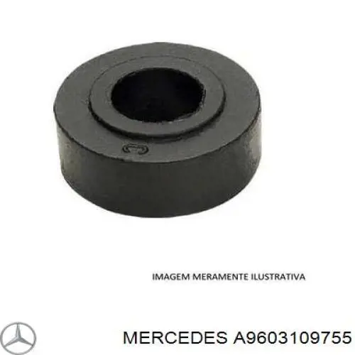  9603109755 Mercedes