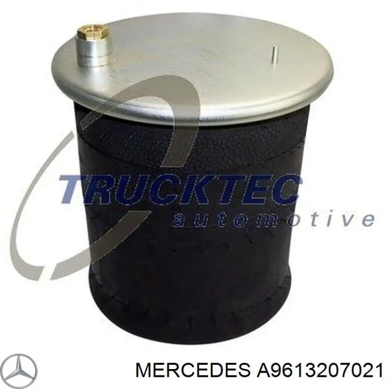 A9613207021 Mercedes 