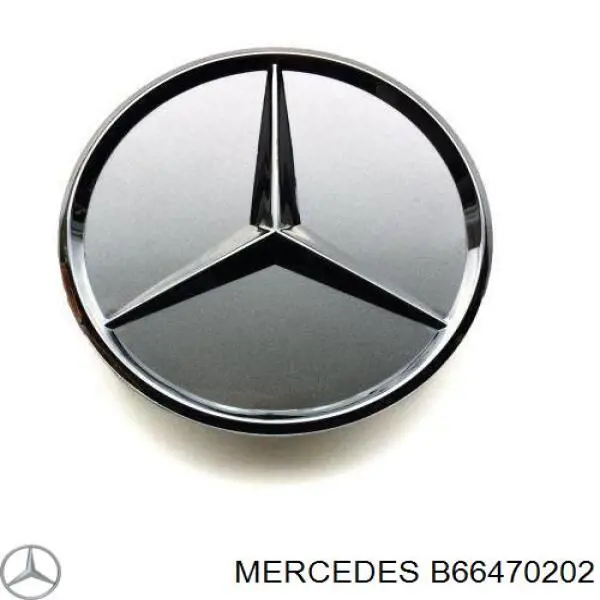 B66470202 Mercedes