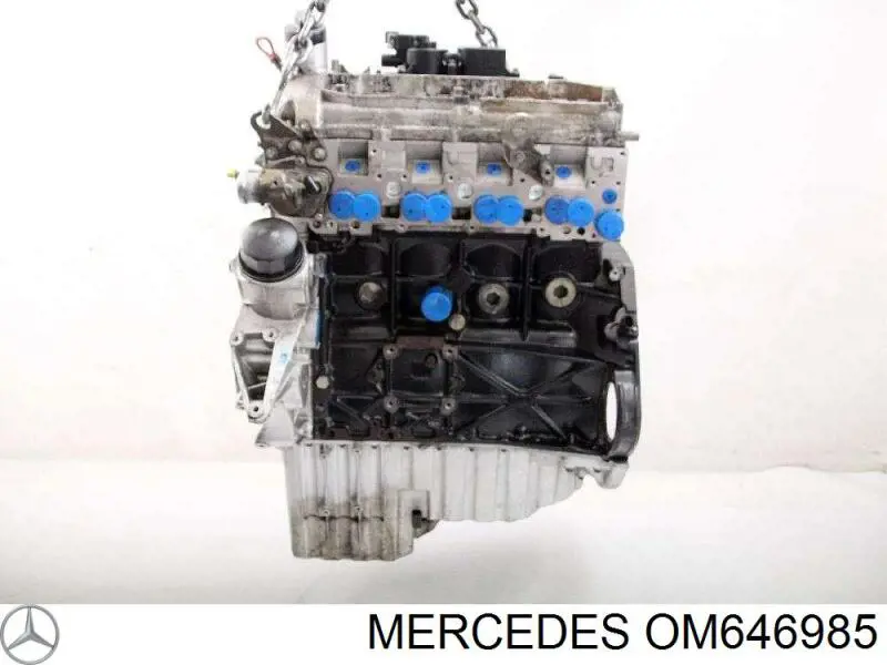 Motor montado para Mercedes Sprinter (906)