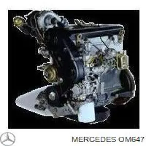  OM647 Mercedes