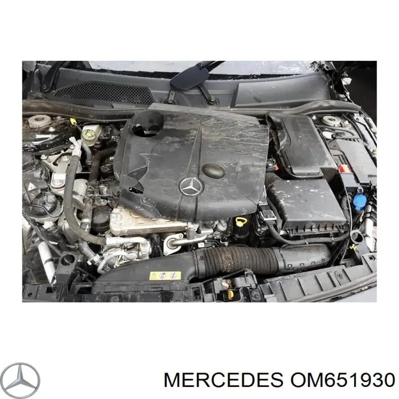 OM651.930 Mercedes motor montado