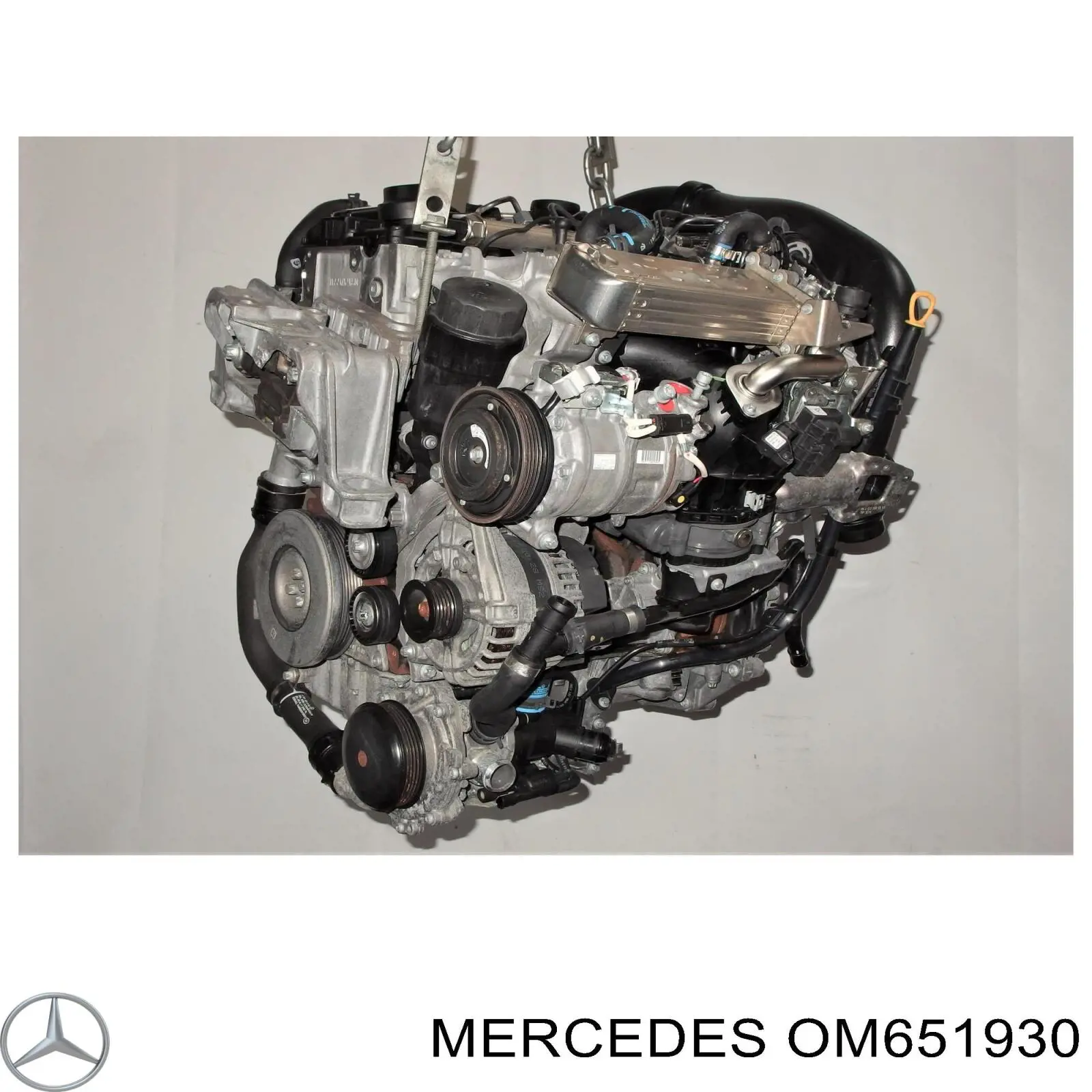 OM651930 Mercedes Мотор в сборе