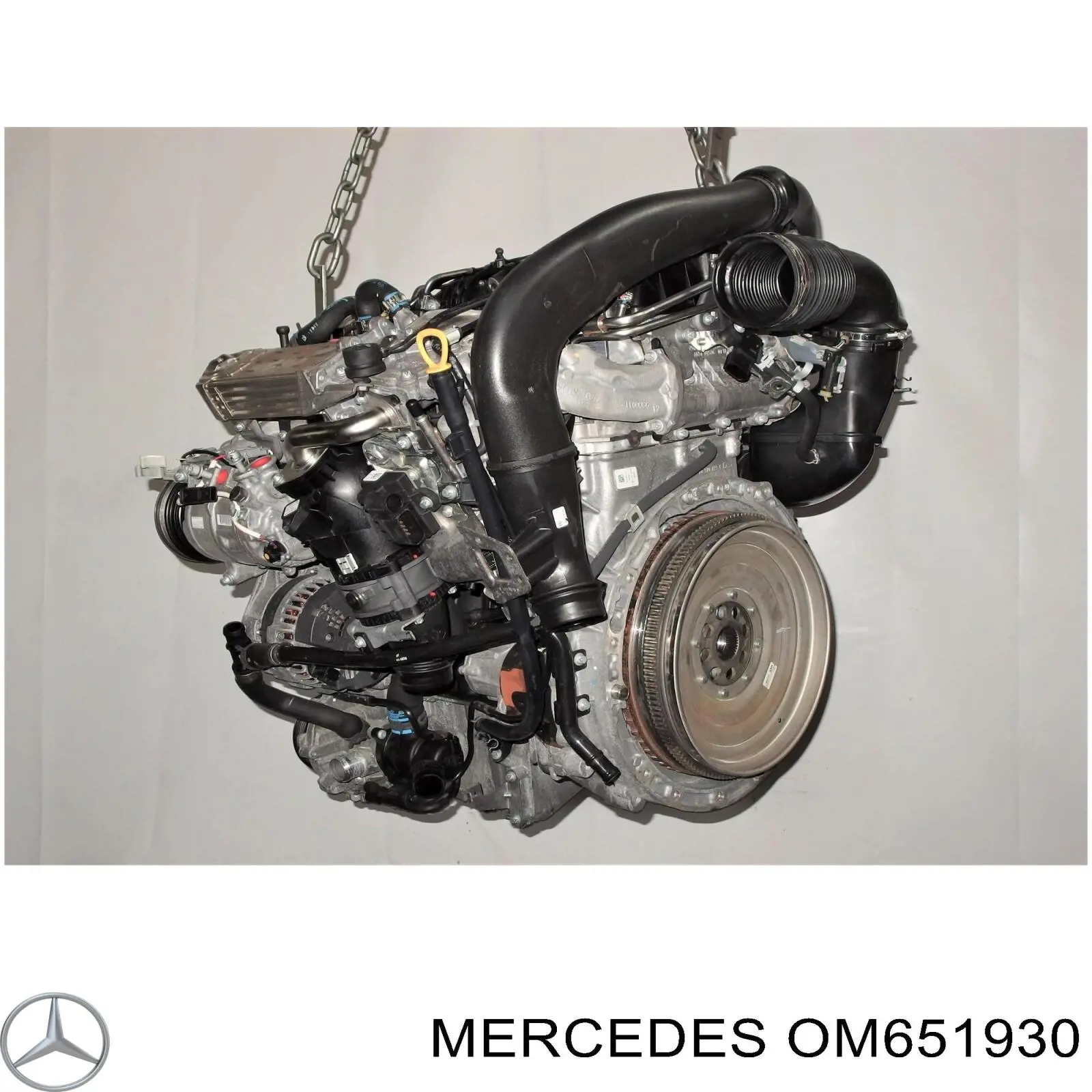 OM651930 MERCEDES Motor completo original y equivalente