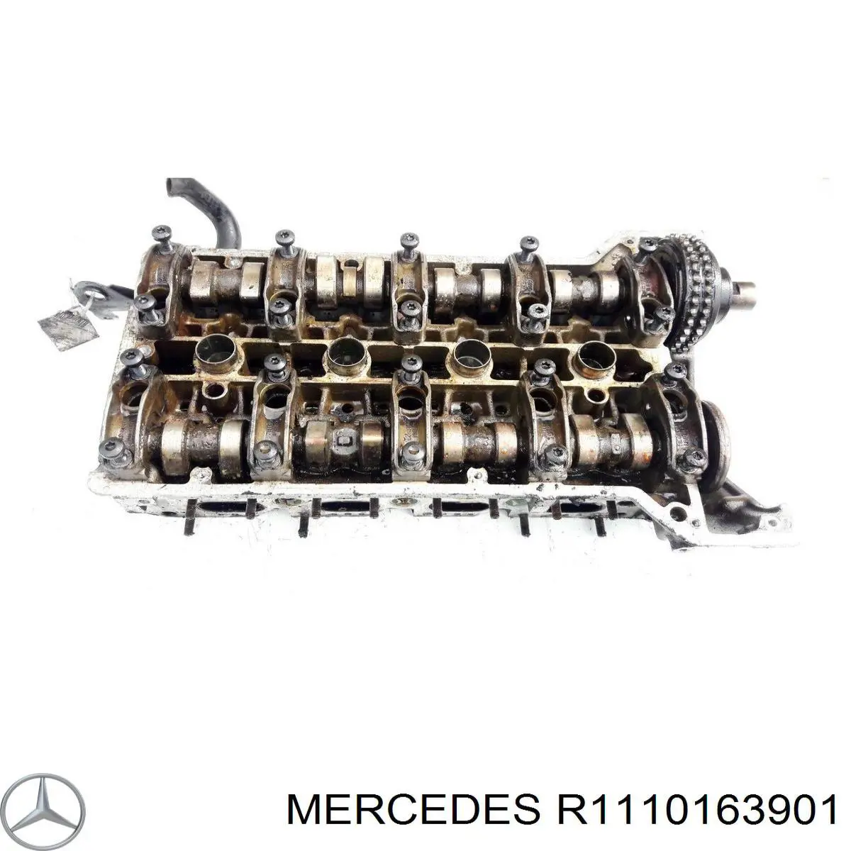 1110163901 Mercedes cabeça de motor (cbc)