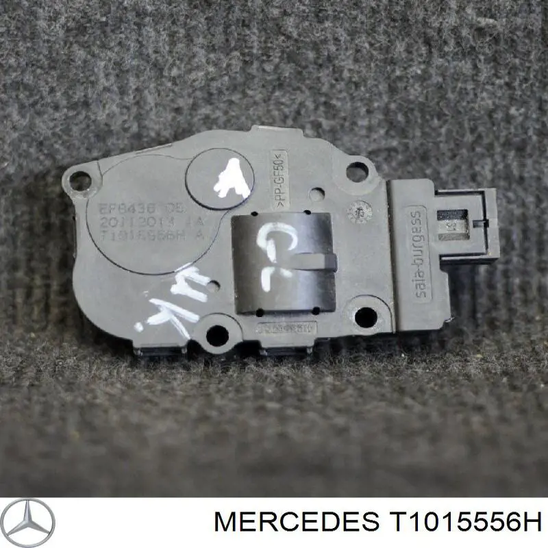 T1015556H Mercedes 