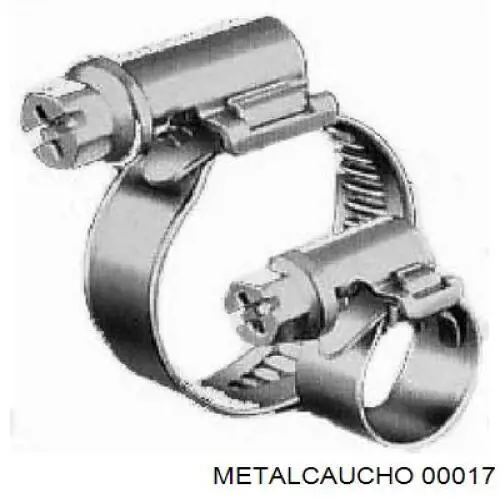  00017 Metalcaucho