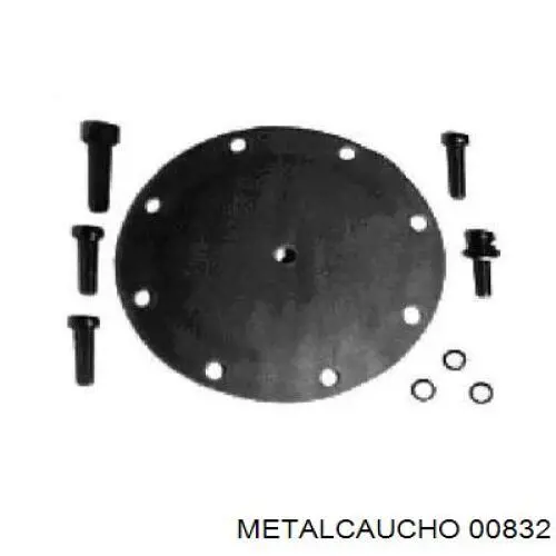 Прокладка вакуумного насоса 00832 Metalcaucho