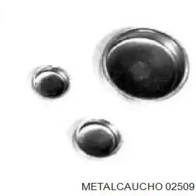 02509 Metalcaucho заглушка гбц/блока цилиндров