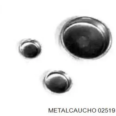  02519 Metalcaucho