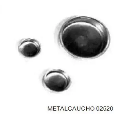 02520 Metalcaucho заглушка гбц/блока цилиндров