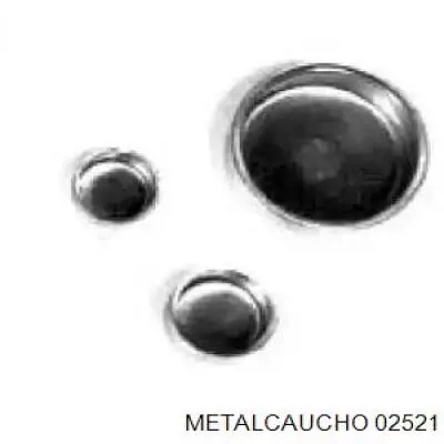 Заглушка ГБЦ 02521 Metalcaucho