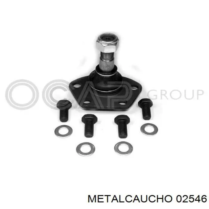  02546 Metalcaucho