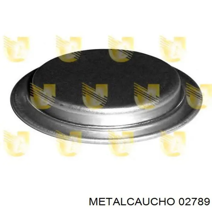 Купить 5978913 Fiat/Alfa/Lancia Заглушка ГБЦ