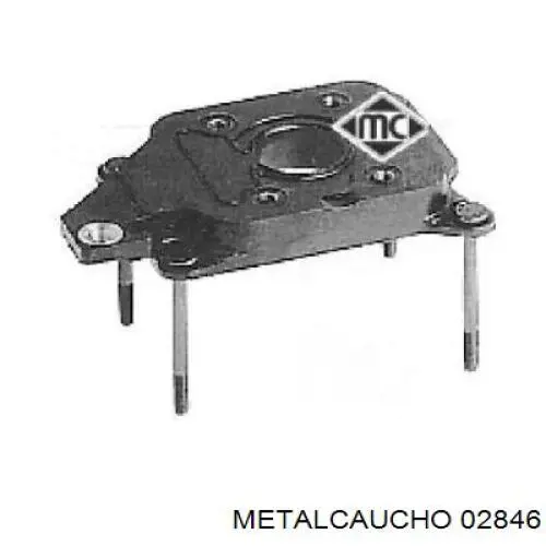 02846 Metalcaucho