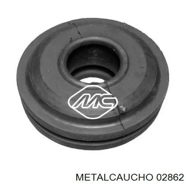  02862 Metalcaucho