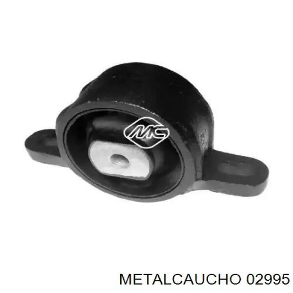  02995 Metalcaucho