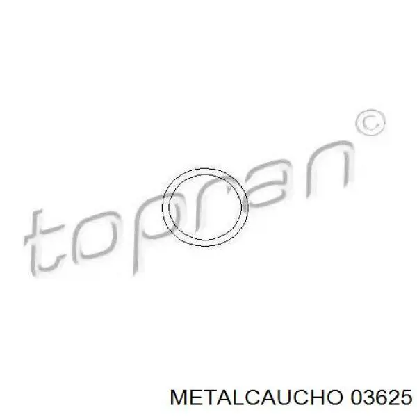 03625 Metalcaucho шланг (патрубок водяного насоса приемный)