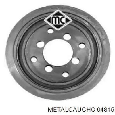  04815 Metalcaucho