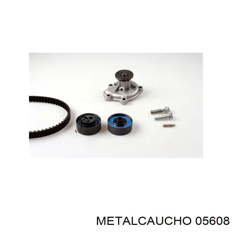  05608 Metalcaucho