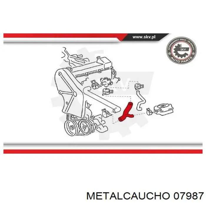 07987 Metalcaucho шланг (патрубок системы охлаждения)