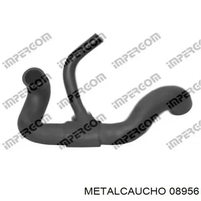  08956 Metalcaucho