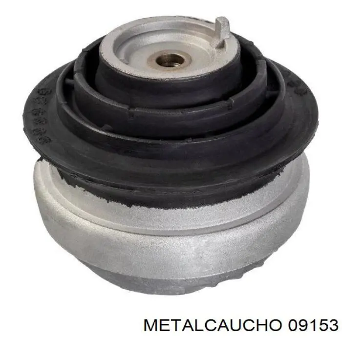  09153 Metalcaucho