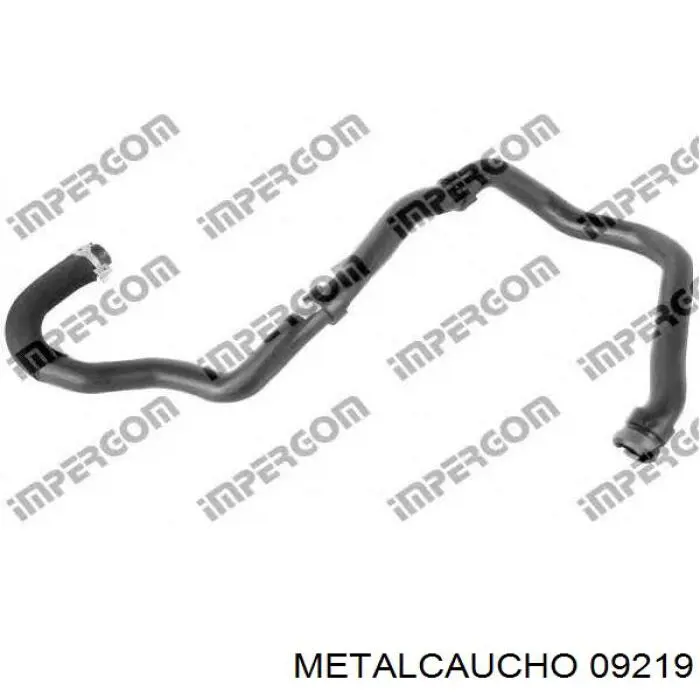 09219 Metalcaucho