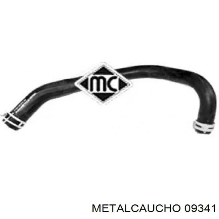  09341 Metalcaucho