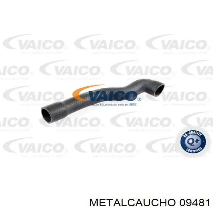 09481 Metalcaucho