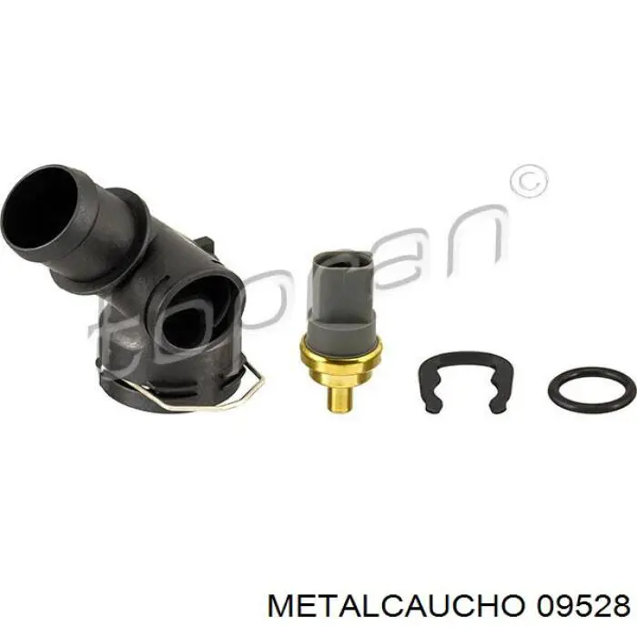 09528 Metalcaucho