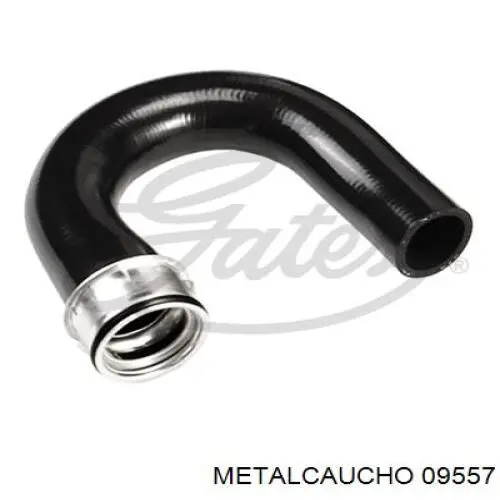 09557 Metalcaucho