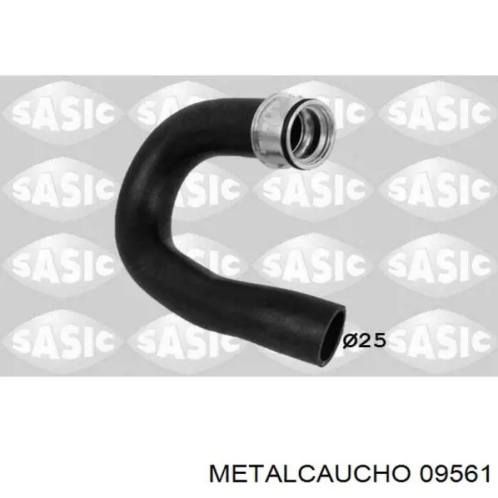  09561 Metalcaucho