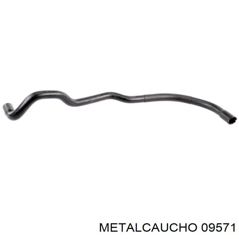  09571 Metalcaucho