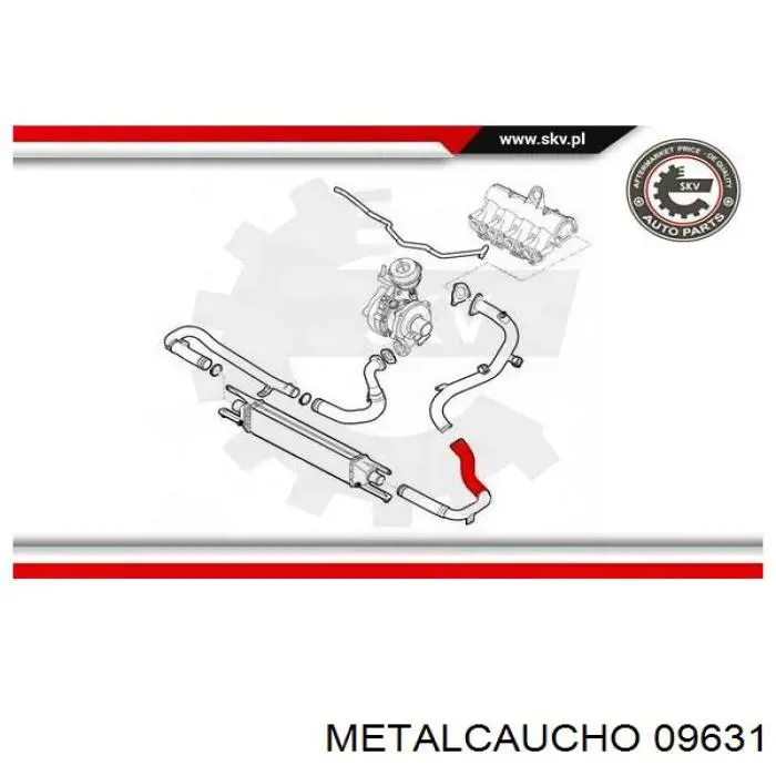 Купить 51901753 Fiat/Alfa/Lancia Патрубок интеркулера